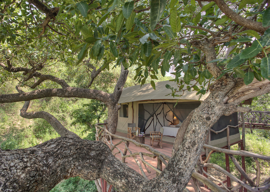 Sarara Treehouses thumbnail 6